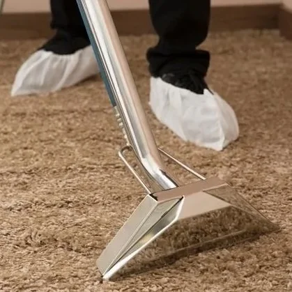 Professional carpet cleaning service in Mesa, AZ